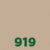 Arena 919